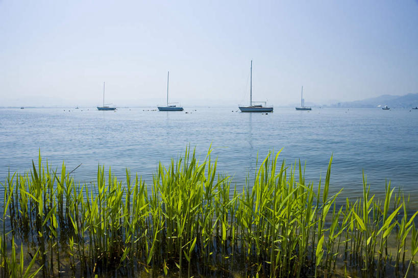 无人,横图,室外,白天,正面,旅游,度假,草地,草坪,海浪,海洋,美景,植物,船,日本,亚洲,阴影,光线,影子,景观,浪花,船只,娱乐,草,蓝色,绿色,蓝天,天空,阳光,自然,海水,天,行驶,享受,休闲,景色,放松,自然风光,海景,东亚,本州,本州岛,日本国,近畿地方,近畿,滋贺,滋贺县,大海,风浪,海,海水的波动,近岸浪,涌浪,彩图