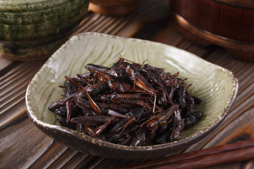 无人,餐厅,横图,俯视,室内,特写,白天,烹饪,烧烤,餐桌,筷子,桌子,餐具,一堆,许多,堆叠,堆积,昆虫,壶,日本料理,料理,食品,菜肴,美食,水壶,食物,动物,茶壶,陶制品,碗,日式料理,日式,佳肴,餐台,堆,蝗虫,进餐用具,烹调用具,彩图,高角度拍摄,餐馆,饭店,饭馆