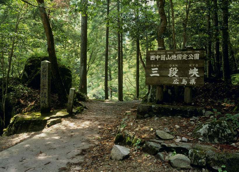 无人,横图,室外,白天,正面,旅游,度假,石头,美景,森林,树林,植物,道路,路,广岛县,日本,亚洲,阴影,光线,日文,标志,石子,文字,影子,字符,景观,小路,交通,娱乐,标识,树,树木,绿色,阳光,自然,享受,休闲,景色,放松,乡间小路,生长,成长,自然风光,东亚,本州,本州岛,日本国,広岛,中国地方,日语,石块,岩石,彩图,安艺太田町,山县郡
