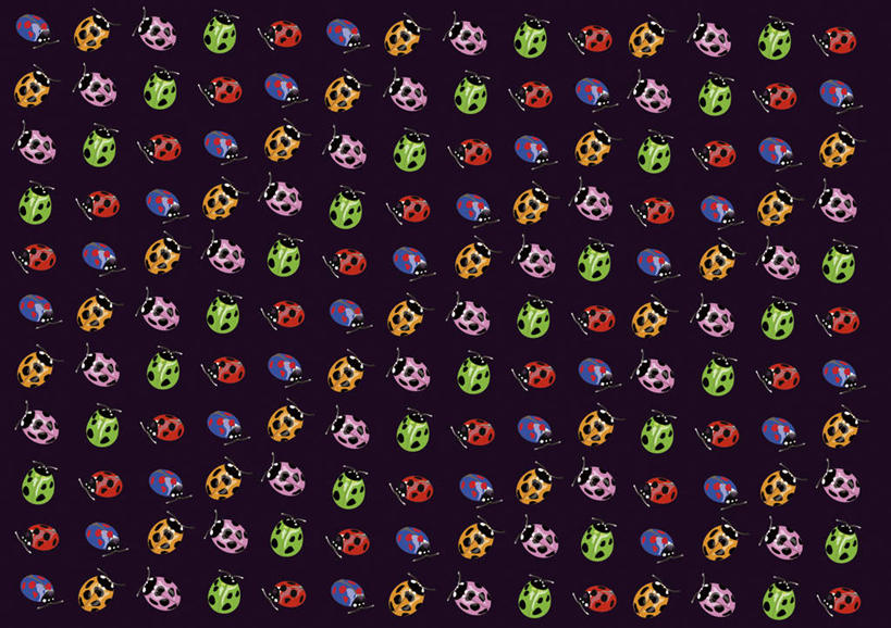 无人,横图,彩色,插画,室内,白天,正面,数码,科技,野生动物,瓢虫,一排,许多,阴影,紫色背景,整齐,密集,网络,斑点,甲壳虫,高光,几何,计算机图形,合成,图画,画,排列,爬行,动物,爬,可爱,活泼,电脑合成图,数码合成图,队列,漫画,写实,具体,具象,七星瓢虫,彩图