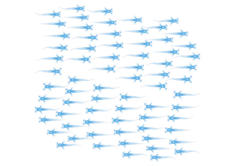 游泳,无人,横图,插画,室内,白天,白色背景,正面,数码,科技,野生动物,一排,一群,许多,阴影,整齐,网络,鱼,高光,几何,计算机图形,合成,图画,鱼类,画,排列,蓝色,动物,可爱,活泼,电脑合成图,数码合成图,队列,漫画,写实,具体,具象,鳉鱼,鳉,彩图