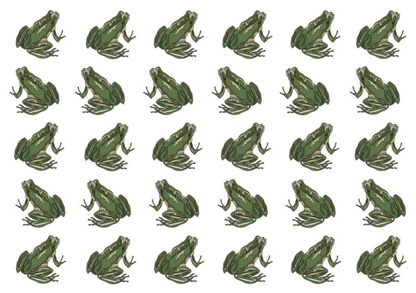 无人,跳,横图,插画,室内,白天,白色背景,正面,数码,科技,青蛙,野生动物,一排,一群,许多,阴影,整齐,网络,蛙,高光,几何,计算机图形,合成,图画,画,排列,绿色,动物,可爱,活泼,电脑合成图,数码合成图,队列,漫画,写实,具体,具象,蛤蟆,跳跃,彩图