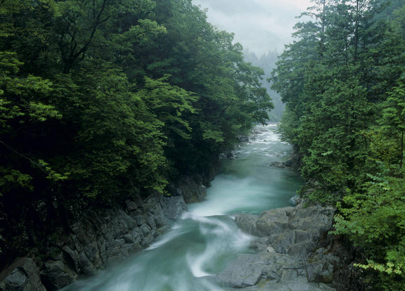 无人,横图,室外,白天,正面,旅游,度假,河流,石头,美景,瀑布,森林,山,山脉,树林,水,植物,雾,长野县,日本,亚洲,阴影,飞溅,朦胧,模糊,溅,光线,石子,液体,影子,河水,景观,山顶,山峰,水滴,水流,山峦,娱乐,水珠,树,树木,绿色,阳光,自然,群山,享受,休闲,景色,放松,生长,成长,迷雾,喷洒,自然风光,东亚,沉积岩,本州,本州岛,日本国,中部地方,长野,颠峰,极峰,水成岩,跌水,石块,岩石,大雾,彩图,木曾郡