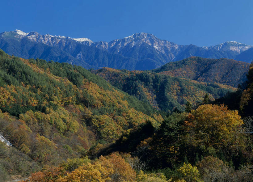 无人,横图,室外,白天,正面,旅游,度假,石头,美景,森林,山,树林,雪,雪山,植物,大雪,长野县,日本,亚洲,阴影,光线,石子,影子,冰,积雪,景观,山顶,山峰,雪景,冬季,冬天,山峦,娱乐,树,树木,蓝色,绿色,蓝天,天空,阳光,自然,天,享受,休闲,景色,放松,寒冷,生长,晴朗,成长,冰冷,自然风光,东亚,沉积岩,本州,万里无云,本州岛,日本国,中部地方,长野,严寒,冰凉,酷寒,凛冽,凛凛,极冷,颠峰,极峰,水成岩,石块,岩石,晴空,晴空万里,彩图,木曾郡