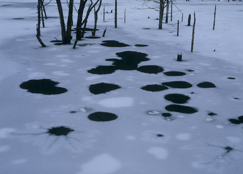 无人,横图,俯视,室外,白天,旅游,度假,湖,湖泊,美景,水,长野县,日本,亚洲,阴影,光线,影子,冰,湖面,景观,水流,水面,树桩,娱乐,树,树干,阳光,自然,浮冰,湖水,享受,休闲,木桩,景色,放松,寒冷,冰冷,自然风光,东亚,本州,本州岛,日本国,中部地方,长野,严寒,冰凉,酷寒,凛冽,凛凛,极冷,流冰,浮冰块,彩图,高角度拍摄,木曾郡,王泷村