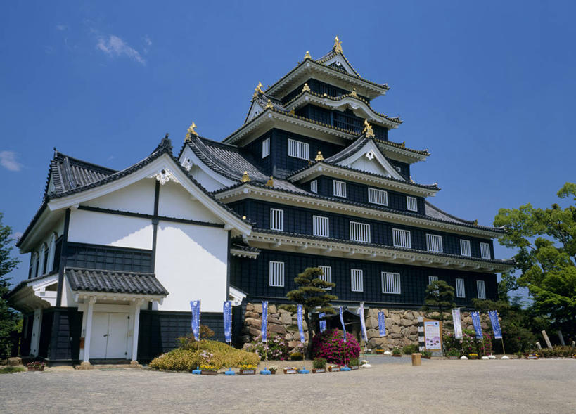 无人,横图,室外,白天,仰视,旅游,度假,名胜古迹,植物,标志建筑,地标,建筑,日本,亚洲,阴影,遗迹,光线,影子,堡垒,城堡,云,云朵,云彩,古迹,文物,娱乐,建设,古建筑,树,树木,蓝色,绿色,白云,蓝天,天空,阳光,自然,天,享受,休闲,旅游胜地,放松,生长,晴朗,成长,要塞,古文明,东亚,本州,本州岛,日本国,中国地方,冈山,冈山县,县厅,冈山市,设防,晴空,彩图,低角度拍摄,乌城,冈山城