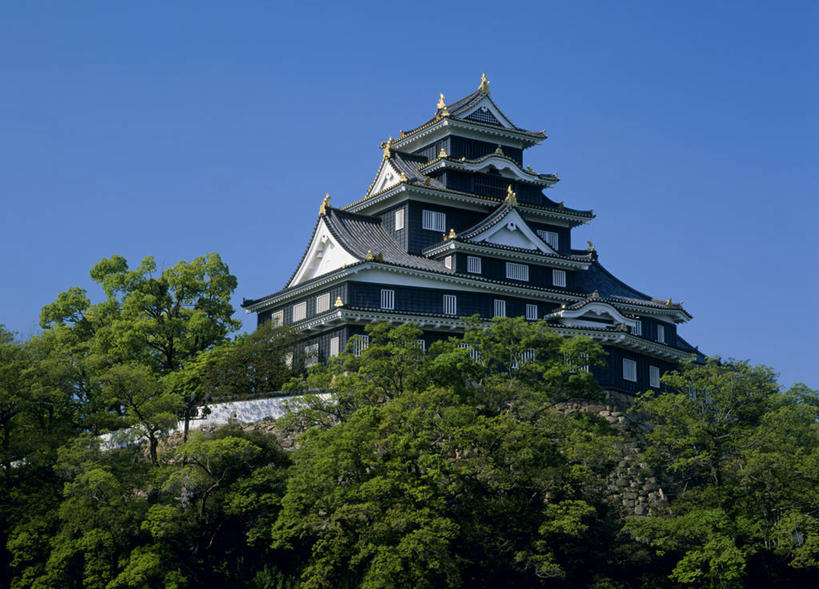 无人,横图,室外,白天,仰视,旅游,度假,名胜古迹,树林,植物,标志建筑,地标,建筑,日本,亚洲,阴影,遗迹,光线,影子,堡垒,城堡,古迹,文物,娱乐,建设,古建筑,树,树木,蓝色,绿色,蓝天,天空,阳光,自然,天,享受,休闲,旅游胜地,放松,生长,晴朗,成长,要塞,古文明,东亚,本州,万里无云,本州岛,日本国,中国地方,冈山,冈山县,县厅,冈山市,设防,晴空,晴空万里,彩图,低角度拍摄,乌城,冈山城