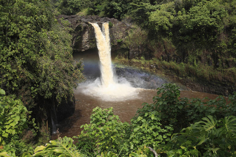 无人,横图,俯视,室外,白天,旅游,度假,岛屿,美景,瀑布,森林,树林,水,植物,夏威夷,美国,阴影,飞溅,溅,光线,液体,影子,景观,水滴,娱乐,水珠,树,树木,绿色,阳光,自然,享受,休闲,景色,放松,生长,成长,北美,北美洲,喷洒,自然风光,美洲,夏威夷岛,夏威夷州,爱洛哈之州,希洛,北亚美利加洲,亚美利加洲,大岛,跌水,列岛,群岛,诸岛,彩图,高角度拍摄,彩虹瀑布