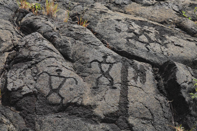 无人,横图,俯视,室外,白天,旅游,度假,石头,美景,植物,夏威夷,美国,石子,景观,娱乐,绿色,自然,享受,休闲,景色,熔岩,放松,生长,成长,北美,北美洲,国家公园,自然风光,美洲,火山岩,火山岛,夏威夷岛,夏威夷州,爱洛哈之州,夏威夷火山国家公园,北亚美利加洲,亚美利加洲,火山公园,火山国家公园,玄武岩,石块,岩石,彩图,高角度拍摄