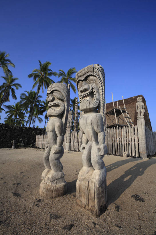 无人,竖图,室外,白天,仰视,旅游,度假,岛屿,美景,沙滩,植物,棕榈树,叶子,雕塑,夏威夷,美国,阴影,艺术,装饰,光线,雕刻,雕像,沙子,影子,海岸,景观,绿叶,沙地,娱乐,石雕,树,树木,蓝色,绿色,蓝天,天空,阳光,自然,工艺品,天,享受,休闲,嫩叶,景色,放松,生长,晴朗,成长,纪念,美术,北美,北美洲,自然风光,主题,美洲,陈列,棕榈叶,万里无云,夏威夷岛,夏威夷州,爱洛哈之州,功能,美学,北亚美利加洲,亚美利加洲,大岛,叶,叶片,海滩,列岛,群岛,诸岛,晴空,晴空万里,棕树,棕榈,彩图,低角度拍摄,科纳市