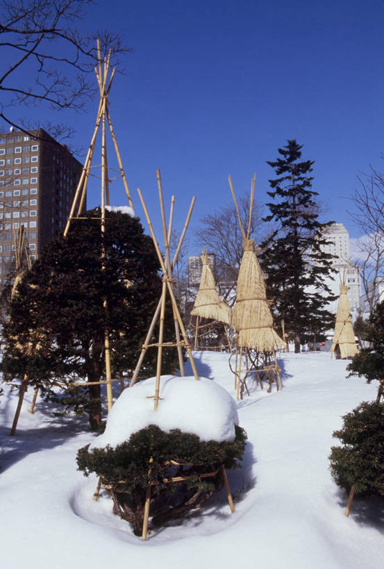 无人,高楼大厦,竖图,室外,白天,仰视,度假,美景,雪,植物,大雪,城市风光,城市,大厦,建筑,摩天大楼,北海道,日本,亚洲,阴影,光线,影子,积雪,景观,雪景,冬季,冬天,娱乐,建设,树,树木,蓝色,绿色,蓝天,天空,阳光,自然,天,享受,休闲,景色,放松,寒冷,生长,晴朗,成长,东亚,万里无云,札幌,大通公园,日本国,北海道地方,北海道岛,严寒,县厅,晴空,晴空万里,彩图,低角度拍摄,大楼,高层建筑,高楼,摩天楼,札幌市