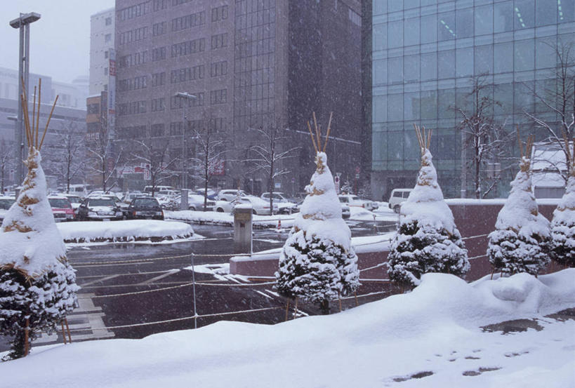 无人,高楼大厦,横图,室外,白天,正面,度假,美景,雪,植物,大雪,城市风光,城市,大厦,建筑,摩天大楼,松树,北海道,日本,亚洲,积雪,景观,雪景,冬季,冬天,娱乐,建设,树,树木,绿色,自然,享受,休闲,景色,放松,寒冷,生长,成长,坚定,东亚,札幌,日本国,北海道地方,北海道岛,长寿,严寒,县厅,贞洁,北区,彩图,大楼,高层建筑,高楼,摩天楼,札幌站,札幌市