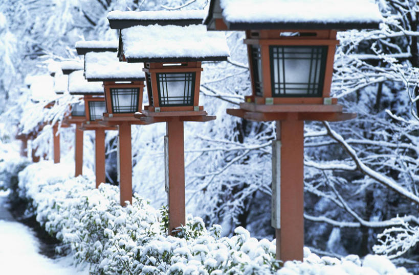 无人,横图,室外,白天,正面,旅游,度假,美景,雪,植物,大雪,照明,京都,日本,亚洲,一排,整齐,灯笼,积雪,景观,雪景,冬季,冬天,娱乐,树,树木,排列,绿色,自然,灯具,享受,休闲,景色,放松,寒冷,京都府,生长,成长,照亮,照明设备,队列,自然风光,东亚,本州,本州岛,日本国,近畿地方,近畿,严寒,彩图,石灯笼