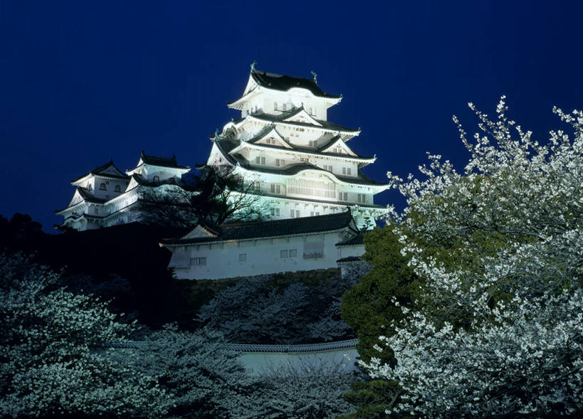 无人,横图,室外,夜晚,仰视,旅游,度假,幸福,纯洁,名胜古迹,植物,标志建筑,地标,建筑,樱花,日本,亚洲,阴影,遗迹,盛开,光线,影子,堡垒,城堡,灯光,花蕾,古迹,文物,娱乐,建设,古建筑,花,花瓣,花朵,鲜花,树,树木,绿色,自然,花苞,花蕊,享受,休闲,旅游胜地,放松,生长,成长,等待,生命,要塞,古文明,东亚,本州,世界文化遗产,本州岛,日本国,近畿地方,姬路城,近畿,兵库,兵库县,仙樱花,福岛樱,青肤樱,高尚,热烈,白鹭城,姬路,姬路市,设防,荆桃,彩图,低角度拍摄