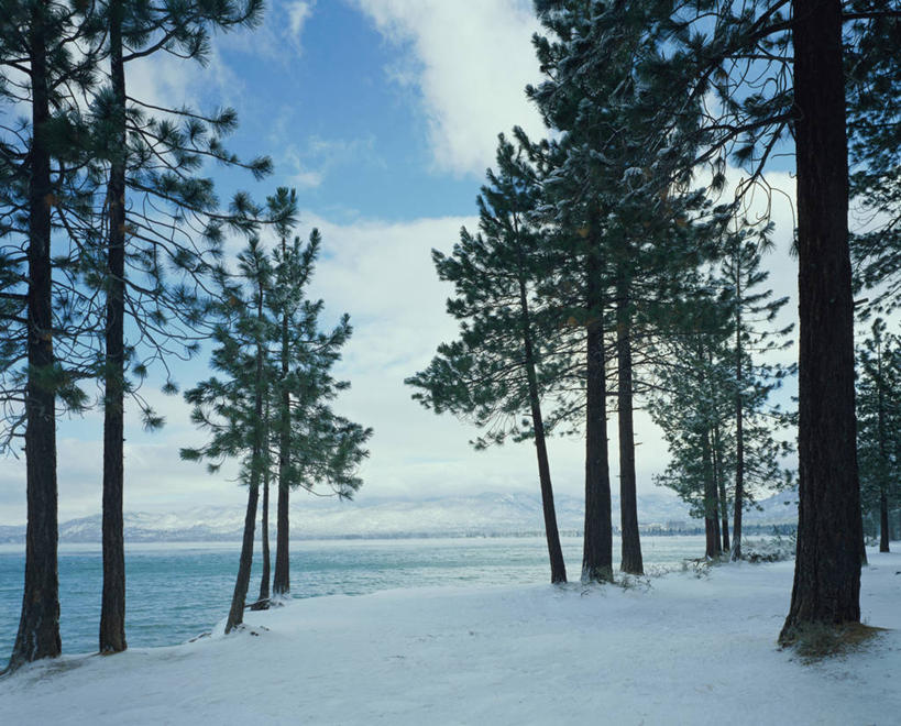 无人,横图,室外,白天,正面,旅游,度假,湖,湖泊,美景,山,树林,水,雪,雪山,植物,大雪,美国,阴影,光线,影子,冰,湖面,积雪,景观,山峰,水流,水面,雪景,云,云朵,冬季,冬天,山峦,云彩,娱乐,树,树木,蓝色,绿色,白云,蓝天,天空,阳光,自然,湖水,天,享受,休闲,景色,放松,寒冷,生长,晴朗,成长,冰冷,北美,北美洲,加利福尼亚,自然风光,美洲,加州,加利福尼亚州,金州,黄金州,北亚美利加洲,亚美利加洲,严寒,冰凉,酷寒,凛冽,凛凛,极冷,埃尔多拉多县,南太浩湖,晴空,彩图