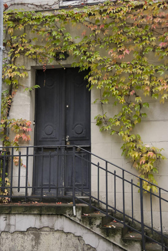 无人,家,栏杆,竖图,室外,白天,正面,度假,美景,楼梯,门,城市风光,城市,法国,巴黎,欧洲,阴影,光线,扶手,影子,房屋,阶梯,墙,屋子,景观,公寓,长春藤,常春藤,娱乐,洋房,护栏,楼房,墙壁,墙面,台阶,住宅,白色,阳光,门框,享受,休闲,景色,放松,法兰西共和国,蒙马特,永恒,法兰西第五共和国,不朽,忠实,洋常春藤,蒙马特区,彩图,房子,常青藤