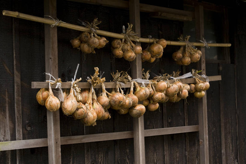 无人,家,栏杆,横图,室外,白天,正面,蔬菜,洋葱,许多,吊挂,悬挂,新鲜,木制,房屋,墙,屋子,围栏,食品,挂,护栏,楼房,墙壁,墙面,住宅,食物,木制品,有机食品,绿色食品,玉葱,荷兰葱,圆葱,洋葱头,球葱,葱头,彩图,房子