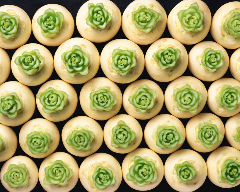 无人,横图,俯视,室内,特写,白天,萝卜,白萝卜,蔬菜,一排,许多,阴影,新鲜,整齐,并列,并排,反射,影子,食品,食物,排列,有机食品,绿色食品,队列,平行,莱菔,彩图,高角度拍摄