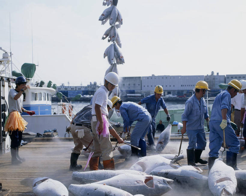 海鲜,东方人,伙伴,朋友,渔夫,码头,站,走,横图,室外,白天,正面,工作服,制服,友谊,合作,团队,港口,船,帽子,亚洲,一堆,许多,阴影,堆叠,堆积,光线,鱼,头盔,影子,游艇,许多人,注视,黄种人,水产,鱼类,海洋生物,蓝色,蓝天,天空,阳光,安全帽,交通工具,天,低头,观察,看,站着,一群人,战略,晴朗,观看,堆,察看,关注,载具,水生动物,海产品,水生物,海底动物,万里无云,联合,合谋,工作制服,配合,协作,男人,男性,年轻男性,亚洲人,捕鱼人,打鱼人,晴空,晴空万里,步行,散步,站立,走路,半身,彩图,工作套服,摆渡口,埠头,渡口,渡头,港湾,海港,货运码头,口岸,商港