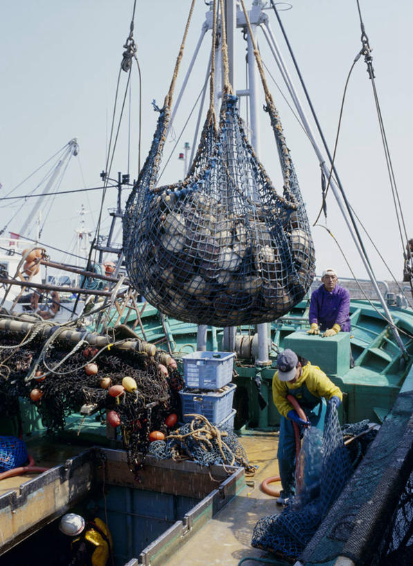 海鲜,东方人,伙伴,朋友,渔夫,码头,站,竖图,室外,白天,正面,工作服,制服,友谊,合作,团队,海浪,海洋,港口,轮船,船,亚洲,一艘,吊挂,悬挂,阴影,光线,鱼,影子,浪花,许多人,挂,注视,黄种人,水产,鱼类,海洋生物,蓝色,蓝天,天空,阳光,海水,交通工具,天,观察,看,站着,一群人,战略,渔网,晴朗,观看,渔具,察看,关注,抓捕,载具,水生动物,海产品,捕捞,鱼网,水生物,海景,海底动物,万里无云,拉网,捕捞工具,联合,合谋,工作制服,配合,协作,男人,男性,年轻男性,亚洲人,捕鱼人,打鱼人,大海,风浪,海,海水的波动,近岸浪,涌浪,晴空,晴空万里,站立,半身,彩图,工作套服,摆渡口,埠头,渡口,渡头,港湾,海港,货运码头,口岸,商港