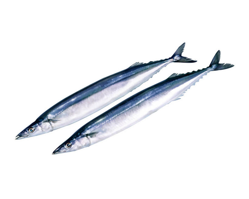 海鲜,无人,横图,插画,室内,白天,白色背景,正面,数码,科技,两条,阴影,网络,秋刀鱼,高光,几何,计算机图形,合成,图画,水产,海洋生物,画,竹刀鱼,刀鱼,电脑合成图,数码合成图,合成图,水生动物,海产品,水生物,漫画,海底动物,写实,具体,具象,彩图,全身