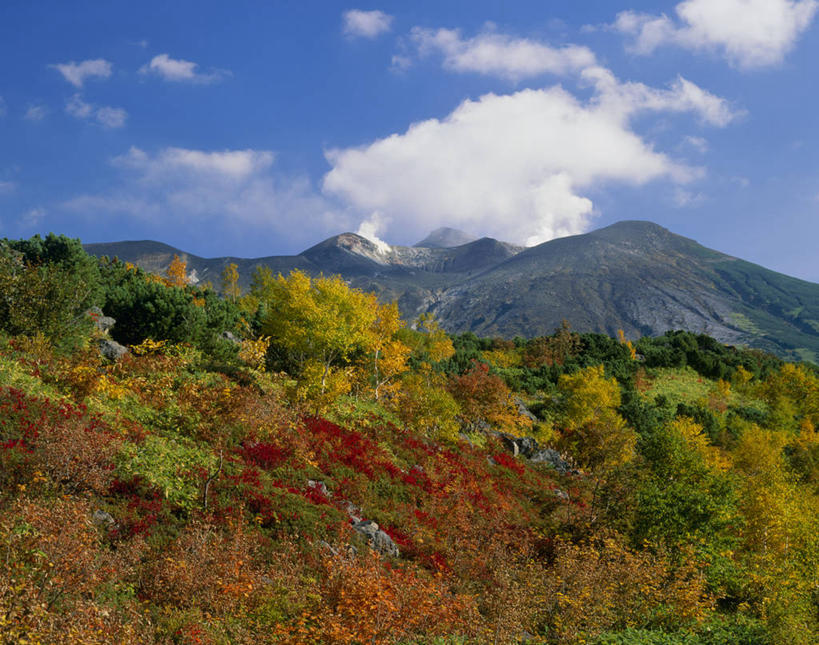 无人,横图,俯视,室外,白天,旅游,度假,石头,美景,秋季,森林,山,山脉,树林,植物,叶子,北海道,日本,亚洲,阴影,光线,石子,影子,景观,山峰,云,云朵,枯叶,落叶,山峦,云彩,娱乐,树,树木,蓝色,绿色,白云,蓝天,天空,阳光,自然,群山,天,享受,休闲,景色,放松,生长,晴朗,成长,自然风光,东亚,日本国,北海道地方,北海道岛,美瑛町,美瑛,道北,叶,叶片,石块,岩石,晴空,秋,秋天,彩图,高角度拍摄,上川郡,上川支厅,十胜岳