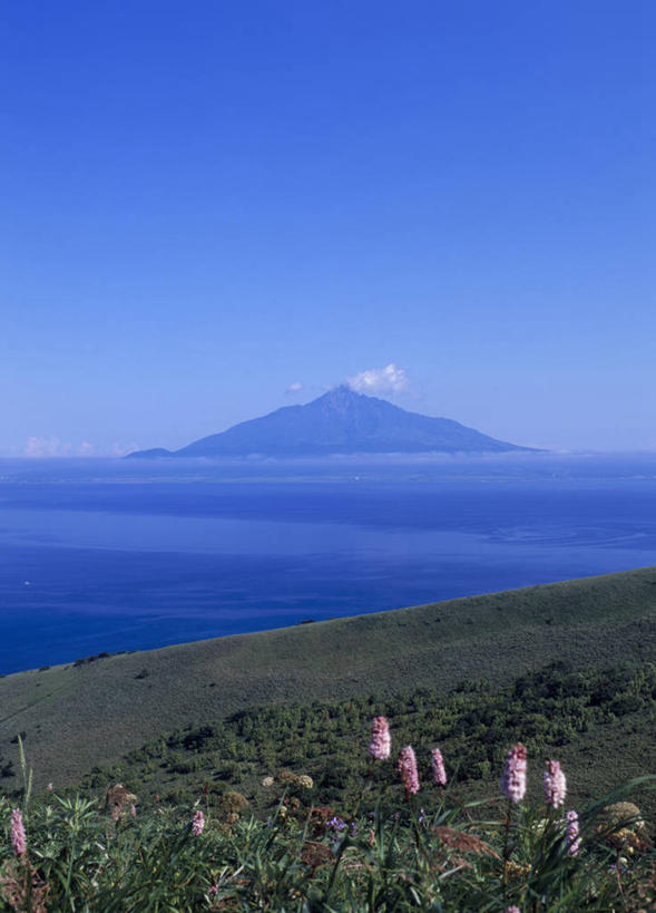 无人,竖图,室外,白天,正面,旅游,度假,草地,草坪,海浪,海洋,花海,花圃,美景,沙滩,山,山脉,植物,叶子,北海道,日本,亚洲,阴影,盛开,光线,沙子,影子,海岸,景观,浪花,山峰,云,云朵,沙地,山峦,花蕾,云彩,娱乐,草,花,花瓣,花朵,花卉,鲜花,蓝色,绿色,白云,蓝天,天空,阳光,自然,海水,花丛,花束,花田,群山,天,花苞,花蕊,享受,休闲,景色,放松,晴朗,自然风光,海景,东亚,日本国,北海道地方,北海道岛,大海,风浪,海,海水的波动,海滩,近岸浪,涌浪,晴空,彩图,振兴局,礼文岛,礼文郡,礼文町,利尻岛,利尻郡,宗谷综合振兴局,利尻山,利尻町,利尻岳