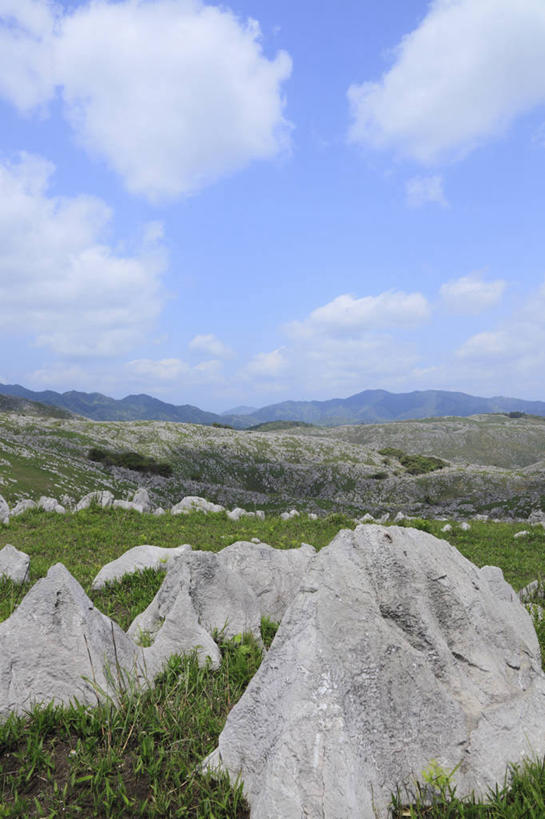 无人,竖图,室外,白天,正面,旅游,度假,草地,草坪,石头,美景,山,山脉,植物,日本,亚洲,阴影,光线,石子,影子,景观,山峰,云,云朵,山峦,云彩,喀斯特,娱乐,草,蓝色,绿色,白云,蓝天,天空,阳光,自然,群山,天,享受,休闲,景色,放松,晴朗,自然风光,东亚,喀斯特地貌,本州,本州岛,日本国,中国地方,山口,山口县,石灰石,石块,晴空,彩图,岩溶,岩溶地貌,美祢,美祢市,秋吉台