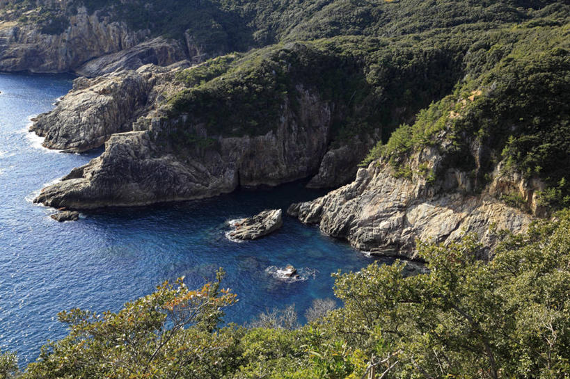 无人,横图,俯视,航拍,室外,白天,旅游,度假,海浪,海洋,石头,美景,森林,山,山脉,树林,植物,日本,亚洲,阴影,光线,石子,影子,景观,浪花,山峰,山峦,娱乐,树,树木,绿色,阳光,自然,海水,群山,享受,休闲,景色,放松,生长,成长,鸟瞰,自然风光,海景,东亚,高知,日本国,高知县,四国地方,四国,四国岛,大海,风浪,海,海水的波动,近岸浪,石块,岩石,涌浪,彩图,高角度拍摄,土佐清水市