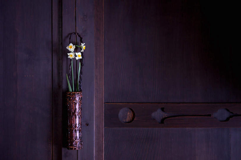 无人,横图,室外,特写,白天,正面,水仙花,悬挂,盛开,花蕾,花,花瓣,花朵,鲜花,白色,花苞,花蕊,彩图