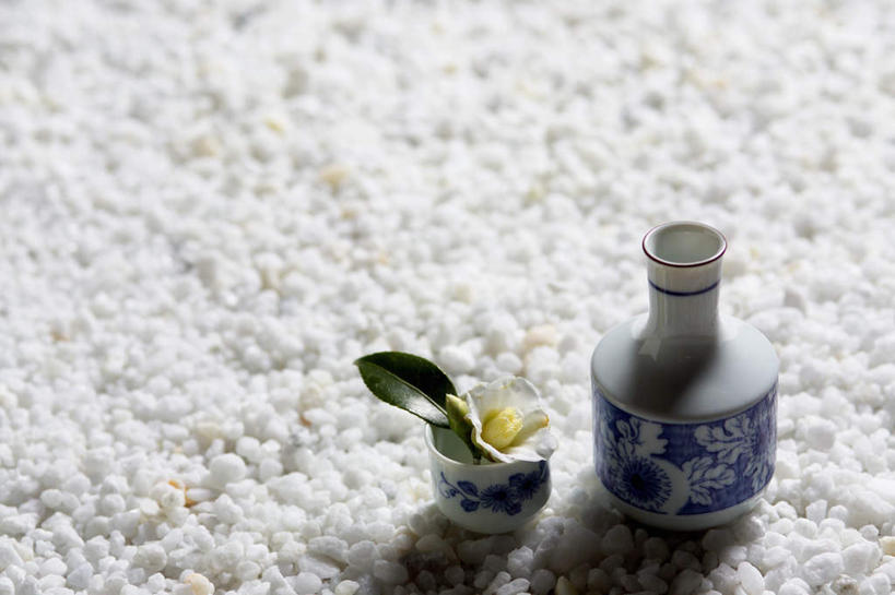 无人,横图,俯视,室外,特写,白天,石头,杯子,叶子,盛开,石子,陶瓷,绿叶,陶瓷制品,花蕾,玻璃制品,酒瓶,花,花瓣,花朵,鲜花,一朵,白色,玻璃瓶,瓶子,水杯,花苞,花蕊,嫩叶,鹅卵石,玉茗花,耐冬,海石榴,曼陀罗,茶花,叶,叶片,茶杯,石块,彩图,高角度拍摄,清酒瓶