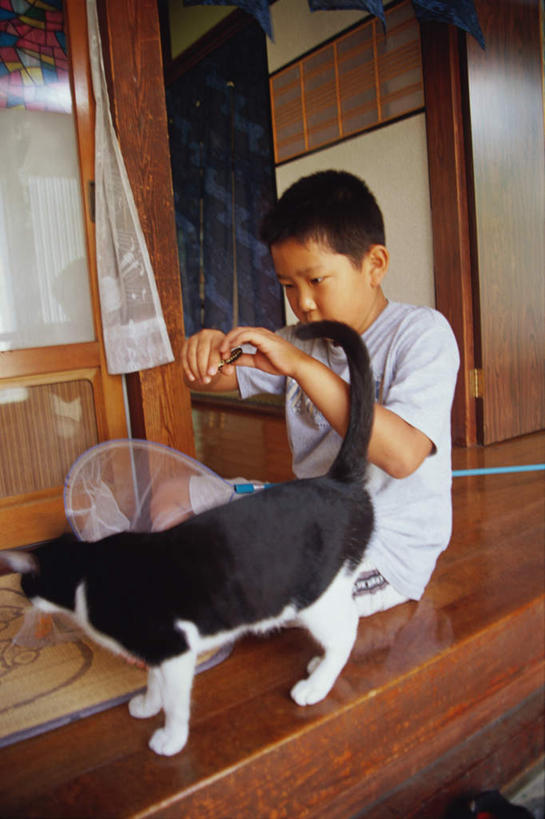 东方人,儿童,一个人,坐,竖图,室内,白天,正面,纯洁,宠物,猫,蝴蝶,亚洲,仅一个男性,仅一个人,服装,昆虫,捕虫网,拿,拿着,注视,休闲装,黄种人,小孩,衣服,动物,观察,看,仅一个小孩,休闲,休闲服,可爱,童年,童趣,服饰,观看,扫网,水网,察看,关注,益虫,童真,烂漫,无邪,扑网,天真,男孩,男人,男性,亚洲人,孩子,坐着,彩图,全身,男生