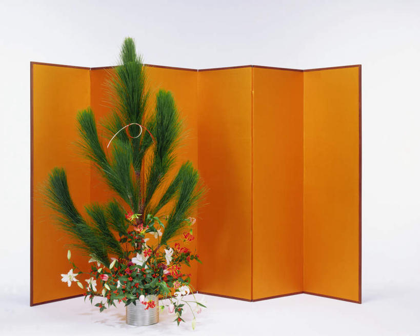 无人,横图,室内,特写,白天,白色背景,正面,植物,屏风,松树,盛开,盆栽,盆景,花蕾,花,花瓣,花朵,鲜花,绿色,自然,花苞,花蕊,橙色,摄影,影棚,生长,成长,坚定,长寿,贞洁,彩图,影棚拍摄,拍摄