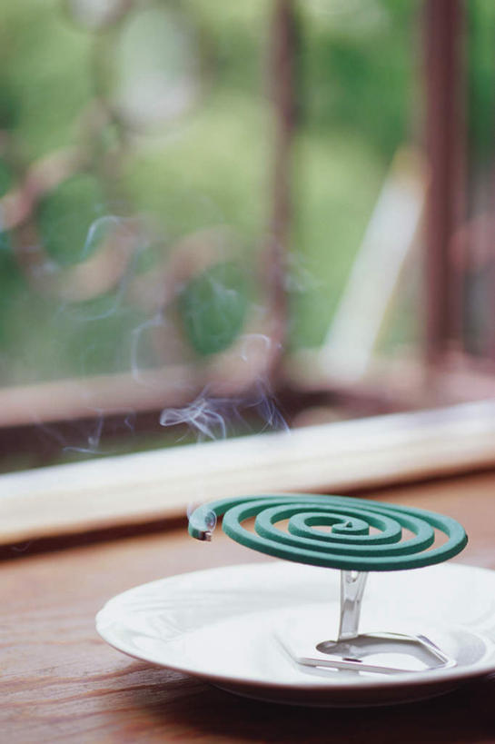 无人,竖图,室内,白天,正面,桌面,东京,日本,亚洲,阴影,装饰,反射,蚊香,影子,烟雾,青色,内部,情趣,燃烧,驱蚊,文化,干净,传统,窗台,住宅,盘子,容器,日式,风格,回旋,东亚,本州,关东地方,本州岛,日本国,东京都,彩图