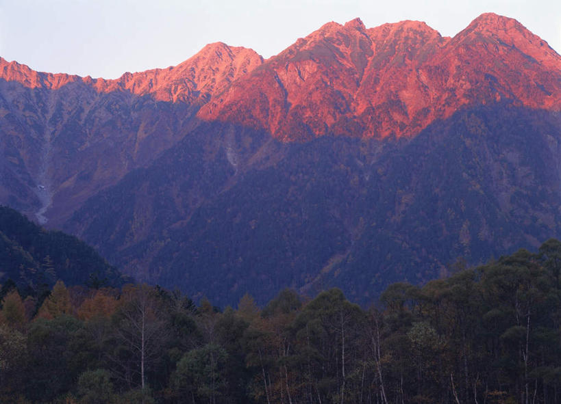无人,横图,室外,白天,仰视,旅游,度假,美景,山,植物,长野县,日本,亚洲,景观,山峰,山峦,娱乐,树,树木,绿色,自然,享受,休闲,景色,放松,生长,成长,自然风光,东亚,本州,本州岛,日本国,中部地方,长野,彩图,低角度拍摄