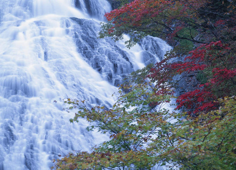 无人,横图,室外,白天,正面,旅游,度假,美景,瀑布,水,植物,日本,亚洲,飞溅,溅,液体,景观,娱乐,树,树木,绿色,自然,享受,休闲,景色,放松,生长,成长,喷洒,自然风光,东亚,本州,关东地方,本州岛,日本国,栃木,栃木县,跌水,彩图