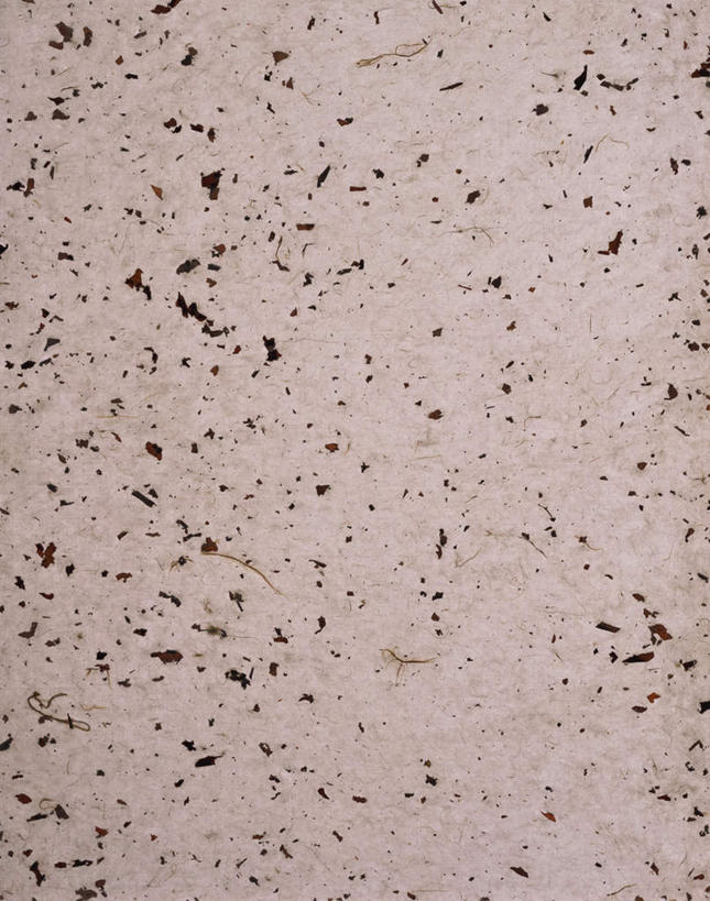 无人,竖图,俯视,室内,特写,白天,静物,花纹,装饰,纹路,图案,纹理,谷类,谷物,糯米,米,大米,华丽,修饰,点缀,肌理,衬托,美观,雅致,雅观,江米,糯米纸,彩图,高角度拍摄