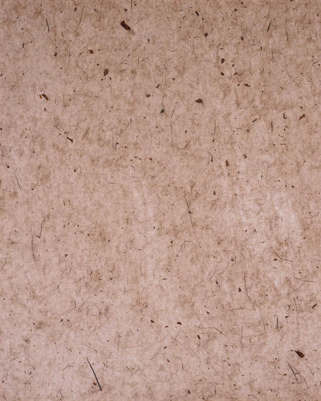 无人,竖图,俯视,室内,特写,白天,静物,花纹,装饰,纹路,图案,纹理,谷类,谷物,糯米,米,大米,华丽,修饰,点缀,肌理,衬托,美观,雅致,雅观,江米,糯米纸,彩图,高角度拍摄