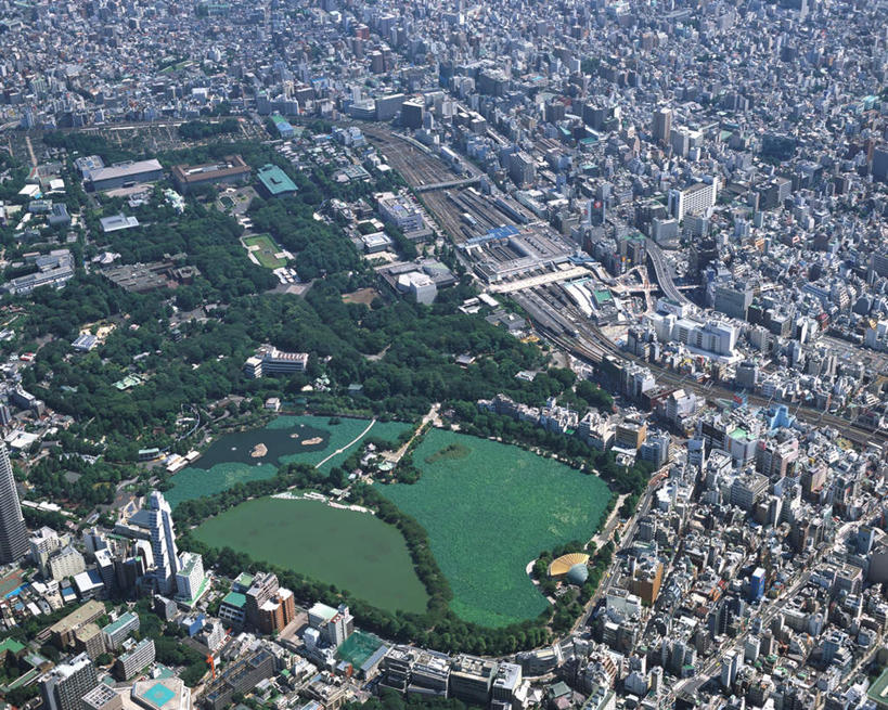 无人,公园,高楼大厦,横图,俯视,航拍,室外,白天,度假,草地,草坪,湖,湖泊,美景,水,植物,城市风光,城市,大厦,道路,建筑,路,摩天大楼,公路,汽车,东京,日本,亚洲,一排,整齐,湖面,景观,水流,水面,交通,娱乐,车,草,树,树木,排列,绿色,自然,交通工具,轿车,湖水,享受,休闲,景色,放松,生长,成长,鸟瞰,队列,东亚,本州,关东地方,本州岛,日本国,东京都,县厅,东京市,东京上野公园,马路,彩图,高角度拍摄,大楼,高层建筑,高楼,摩天楼,上野公园