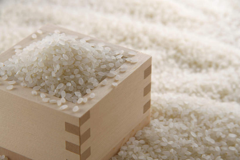 无人,横图,俯视,室内,特写,白天,烹饪,一堆,堆叠,堆积,木制,谷类,谷物,日本料理,料理,食品,米,杯,大米,菜肴,美食,食物,一个,日式料理,日式,摄影,佳肴,影棚,单个,堆,生米,彩图,高角度拍摄,影棚拍摄,拍摄