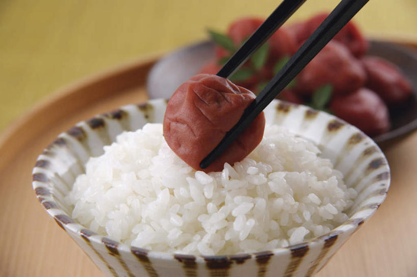 米饭,无人,横图,俯视,室内,特写,白天,烹饪,筷子,餐具,一堆,堆叠,堆积,朦胧,模糊,碟子,盘,陶瓷,日本料理,料理,食品,陶瓷制品,饭,话梅,文化,传统,菜肴,美食,食物,一个,红色,盘子,碟,碗,日式料理,日式,摄影,佳肴,影棚,单个,堆,礼节,白米饭,五谷,礼仪,梅子,梅干,日本梅丼,梅子饭,饭食,进餐用具,烹调用具,彩图,高角度拍摄,影棚拍摄,拍摄