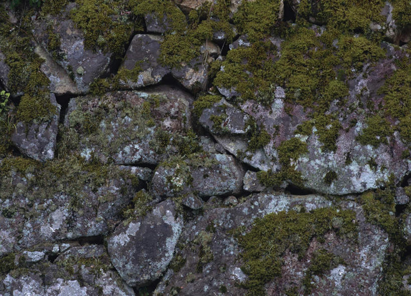 无人,横图,室外,白天,正面,石头,植物,一堆,堆叠,堆积,纹路,石子,纹理,墙,青苔,苔藓,石墙,墙壁,墙面,绿色,堆,肌理,石块,岩石,彩图