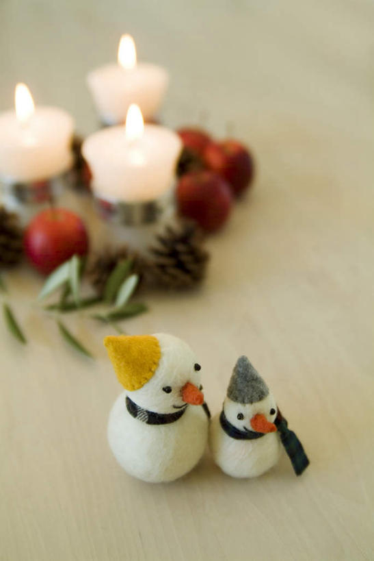 无人,竖图,俯视,室内,特写,白天,苹果,蜡烛,叶子,圣诞节,阴影,节日,庆祝,光线,火焰,玩偶,影子,烛光,雪人,坚果,果实,绿叶,松果,燃烧,文化,装饰品,两个,工艺品,干果,点燃,庆典,纪念,枝叶,松塔,叶,叶片,彩图,高角度拍摄