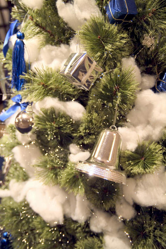 无人,竖图,室内,特写,白天,正面,植物,礼盒,礼物,圣诞节,节日,庆祝,铃铛,纸盒,圣诞树,文化,圣诞快乐,盒子,装饰品,树,树木,绿色,自然,包装盒,礼品盒,工艺品,庆典,礼品,生长,成长,纪念,彩图