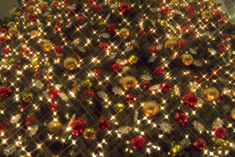 无人,横图,室外,特写,夜晚,正面,植物,照明,圣诞节,悬挂,节日,庆祝,装饰,彩灯,挂饰,灯光,圣诞树,圣诞球,文化,灯,球,装饰品,树,树木,黄色,红色,绿色,自然,装饰物,工艺品,灯具,庆典,球体,闪耀,花灯,生长,成长,纪念,华丽,修饰,明亮,照亮,点缀,照明设备,饰物,装饰灯,衬托,美观,雅致,雅观,彩图