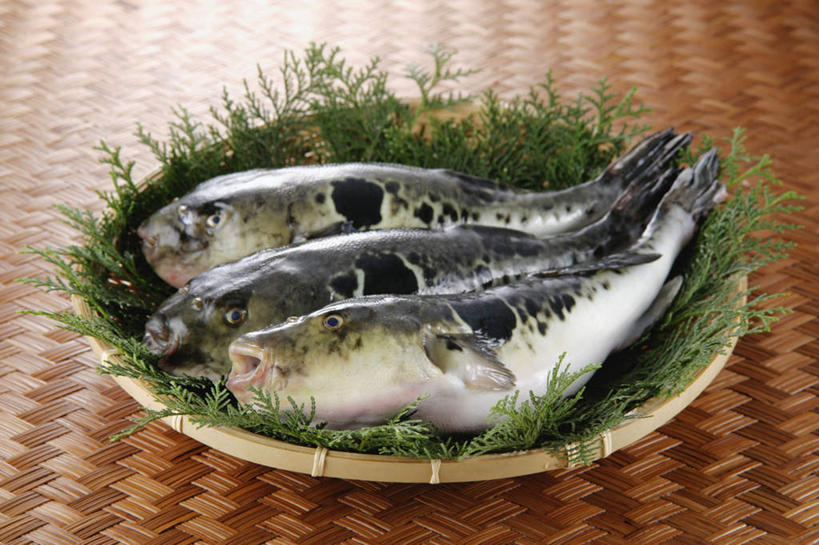 海鲜,无人,交叉,横图,俯视,室内,特写,白天,烹饪,餐桌,桌子,竹子,一排,竹制,整齐,编织,篮子,日本料理,料理,食品,水产,菜肴,美食,食物,排列,竹篮,日式料理,日式,佳肴,三条,餐台,竹条,海草,交织,竹制品,队列,海产品,大斑刺鲀,穿插,海产,彩图,高角度拍摄,全身