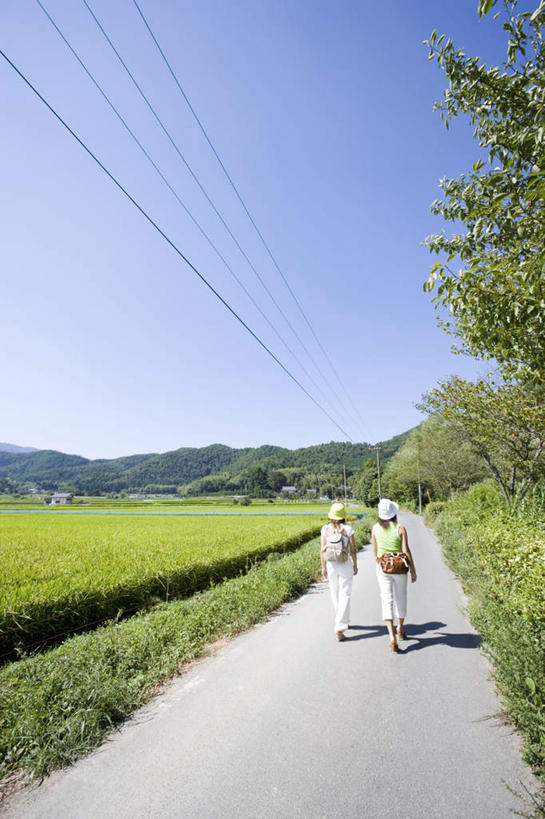 东方人,两个人,伙伴,朋友,走,竖图,室外,白天,旅游,度假,友谊,美景,森林,山,树林,太阳,植物,道路,帽子,京都,日本,亚洲,阴影,服装,光线,包,电线,公文包,影子,景观,山峰,山峦,休闲装,黄种人,娱乐,树,树木,背面,衣服,蓝色,绿色,蓝天,天空,阳光,自然,遮阳帽,天,夏天,享受,休闲,休闲服,路面,景色,放松,服饰,京都府,生长,晴朗,成长,公事包,自然风光,东亚,本州,万里无云,本州岛,日本国,近畿地方,近畿,嵯峨野,岚山,友情,年轻女性,女人,女性,亚洲人,晴空,晴空万里,步行,散步,走路,彩图,全身