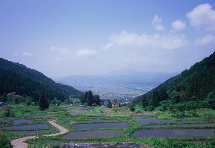 无人,农田,横图,室外,白天,正面,旅游,度假,庄稼,梯田,农作物,森林,山,山脉,树林,植物,建筑,长野县,日本,亚洲,曲折,日本文化,弯曲,池塘,山峰,水塘,云,云朵,山峦,云彩,娱乐,树,树木,蓝色,绿色,白云,蓝天,天空,自然,群山,天,夏天,享受,休闲,旅游胜地,放松,蜿蜒,生长,晴朗,成长,东亚,本州,本州岛,日本国,中部地方,长野,晴空,彩图,耕地,庄稼田,传统文化