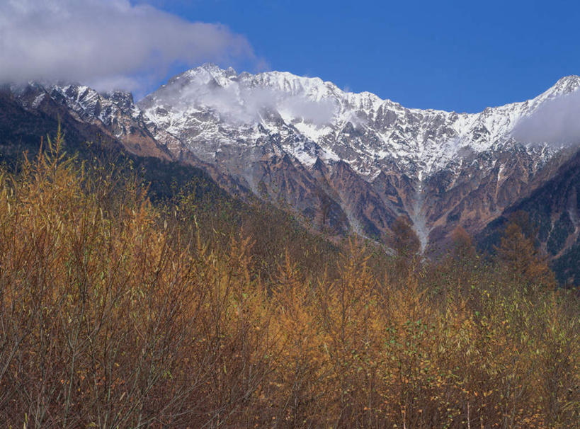 无人,横图,室外,白天,正面,旅游,度假,美景,秋季,森林,山,山脉,树林,雪,植物,大雪,长野县,日本,亚洲,积雪,景观,山峰,山峦,娱乐,树,树木,绿色,自然,群山,享受,休闲,景色,放松,生长,成长,自然风光,东亚,本州,本州岛,日本国,中部地方,长野,上高地,秋,秋天,彩图
