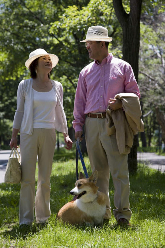 东方人,两个人,夫妻,站,走,笑,微笑,露齿笑,竖图,室外,白天,正面,衬衫,爱情,旅游,度假,森林,树林,太阳,植物,宠物,狗,帽子,亚洲,握,阴影,服装,光线,包,皮包,影子,树荫,浪漫,拿,遛狗,拿着,休闲装,黄种人,娱乐,树,树木,衣服,绿色,阳光,自然,动物,遮阳帽,站着,享受,休闲,温暖,温馨,休闲服,恩爱,放松,可爱,握着,恋人,服饰,生长,成长,单肩包,和睦,户外运动,忠诚,男人,男性,女人,女性,中年男性,中年女性,亚洲人,情侣,犬,步行,散步,站立,走路,彩图,全身,衬衣,伴侣,融洽